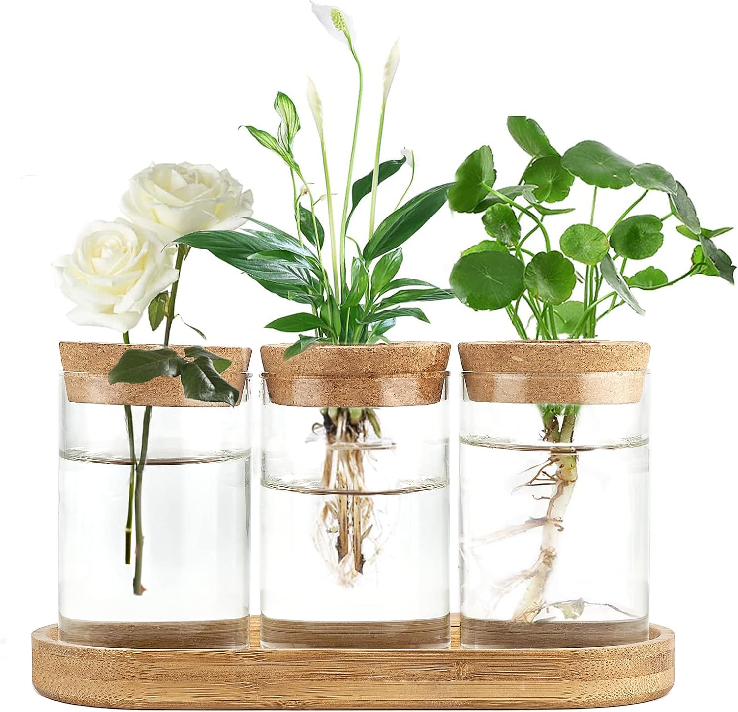 Propagation Station Vase - 3 Pcs Glass Plant Propagation Station