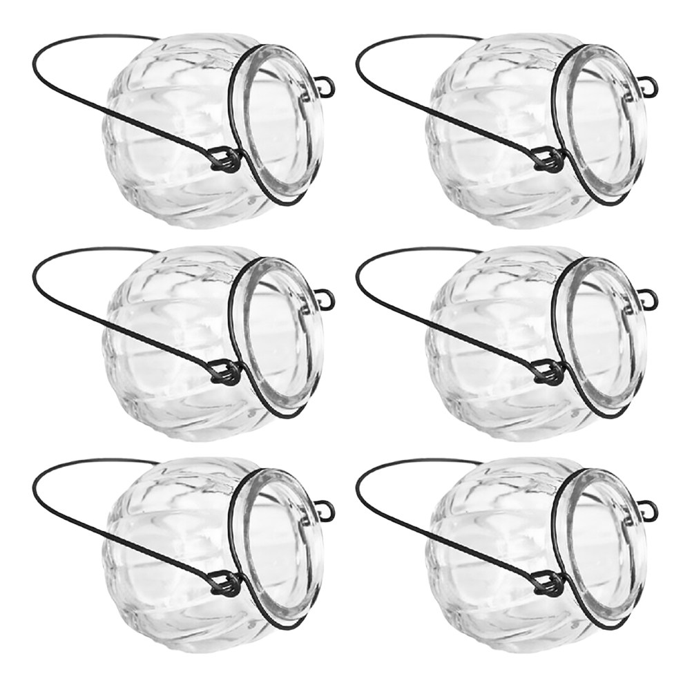 Propagation Station Vase - 6Pcs Clear Glass Hanging Wall Planters