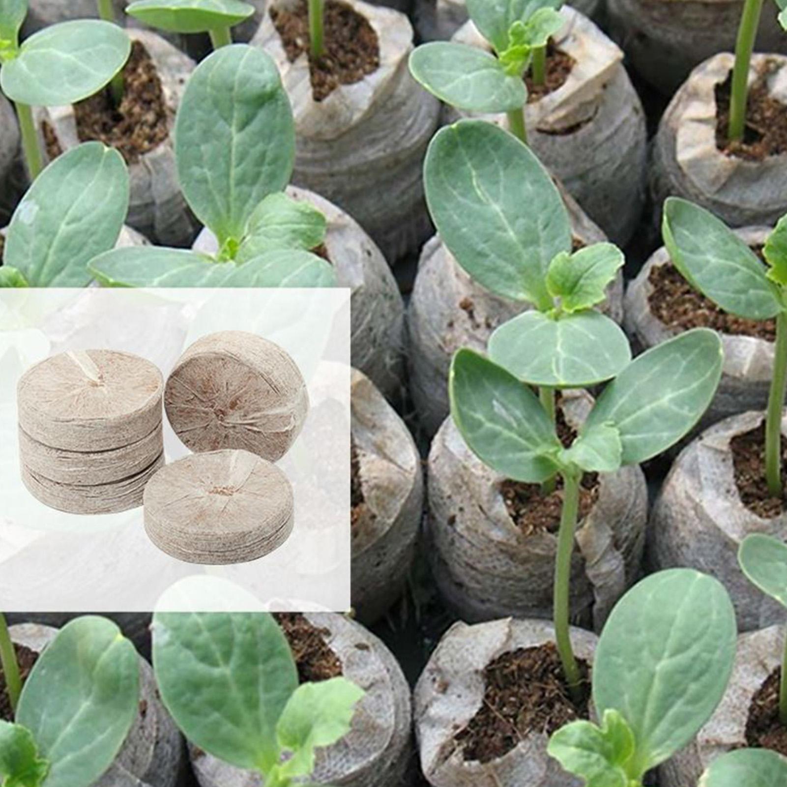 Peat Pellets 100 Piece Potting - Peat Pellet Tray 评论和价格
