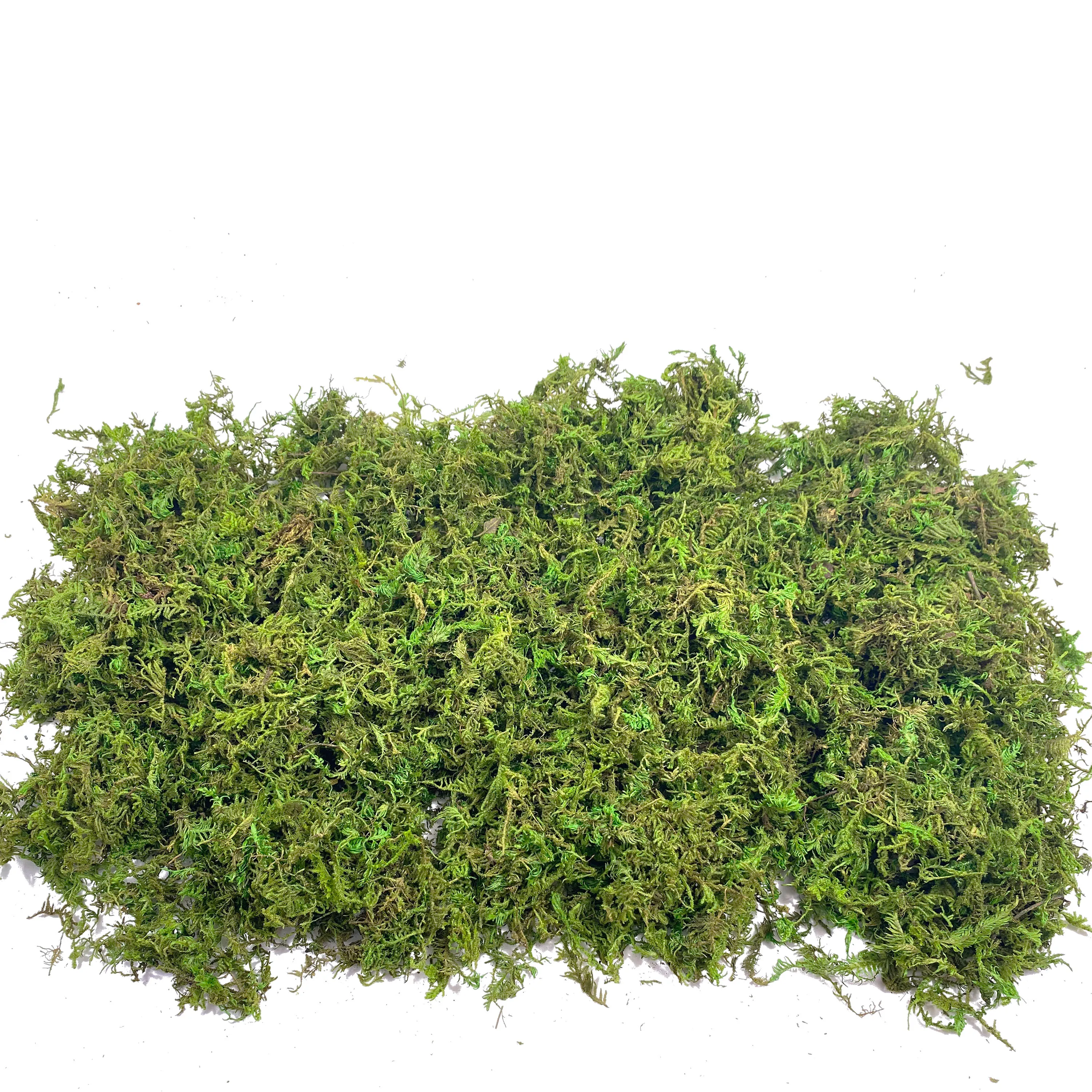 Fake Moss Artificial Moss for  - Sphagnum Moss Dry 评论和价格