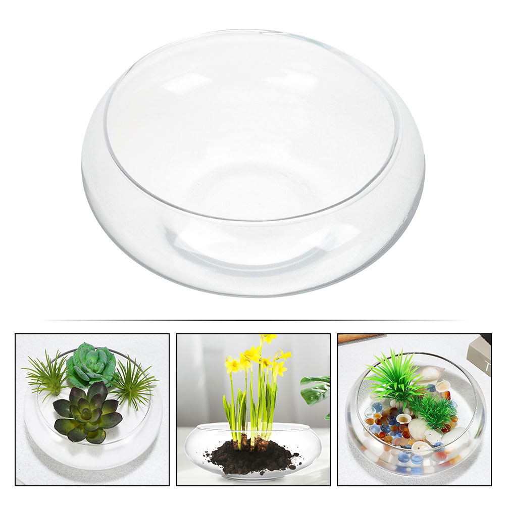 Wide Mouth Glass Vase Narcissu - Propagation Station Vase 评论和价格