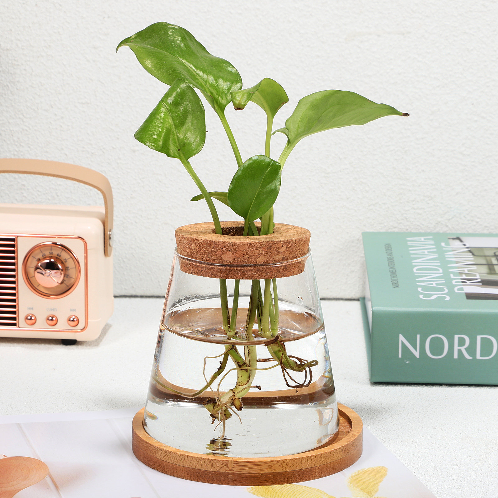2Pcs Water Planters Glass Prop - Propagation Station Vase 评论和价格