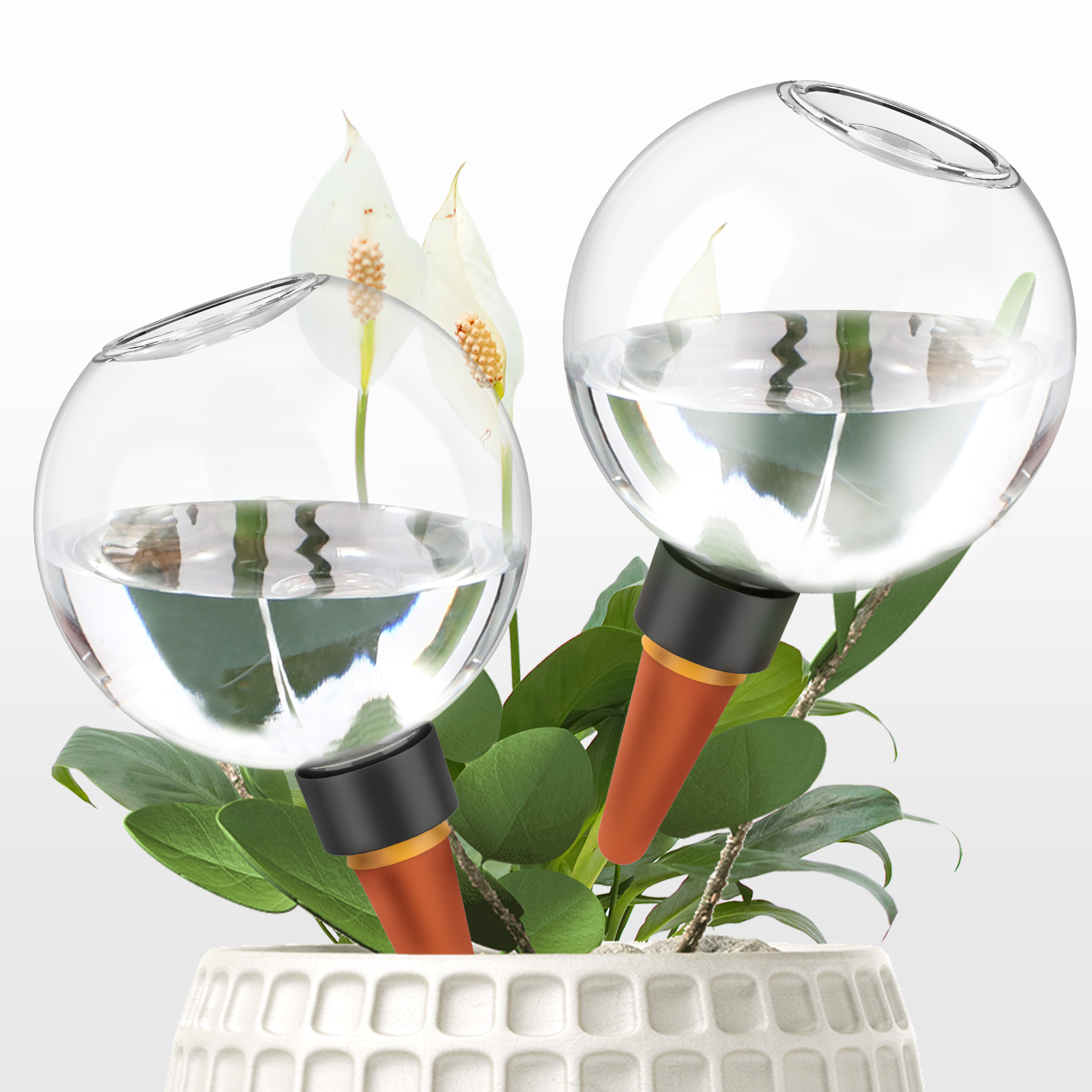 2/4Pcs 500ML Automatic Drip Ir - Self Watering Insert 评论和价格