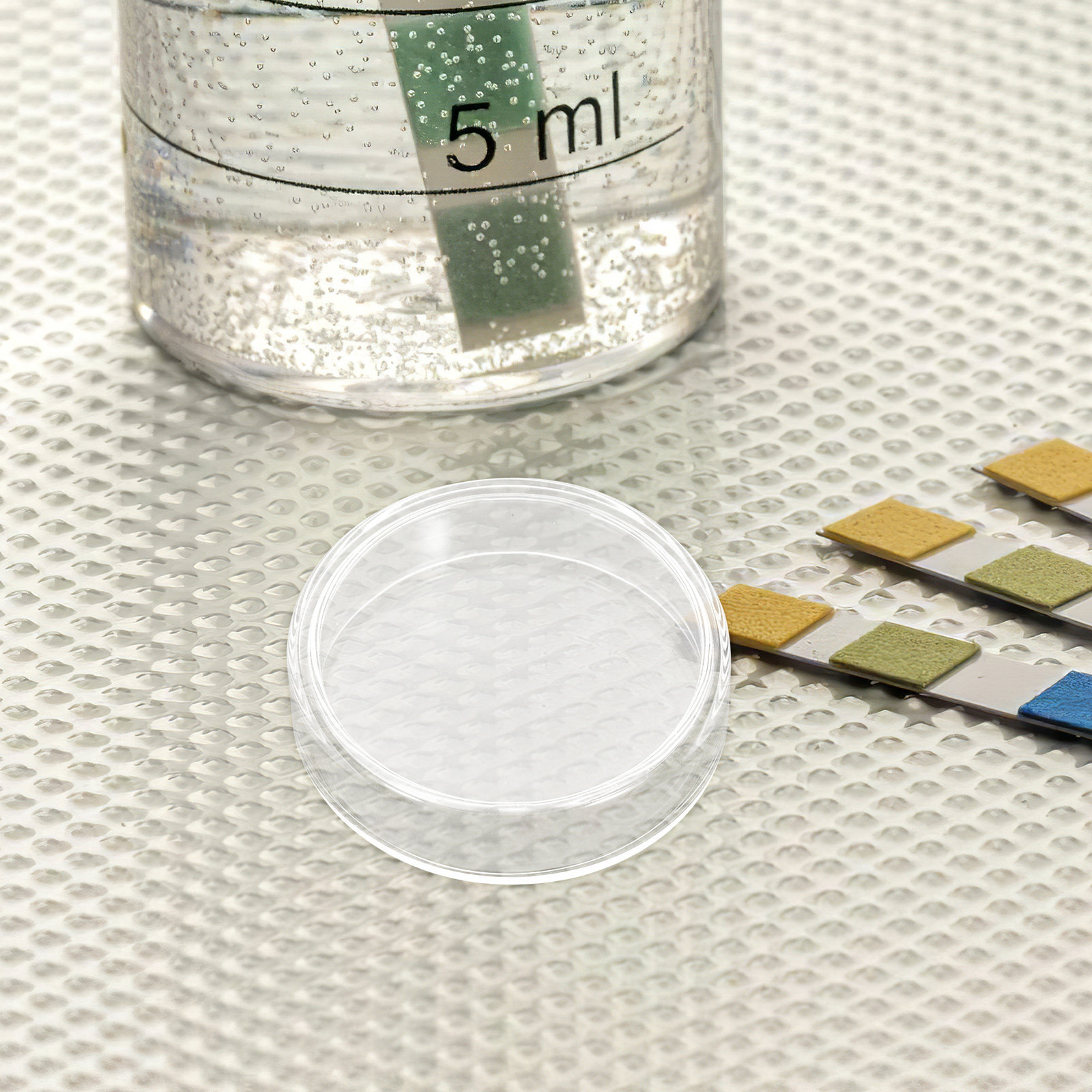 10 Pcs Agar Plates Tissue Cult - Agar Tissue Culture 评论和价格