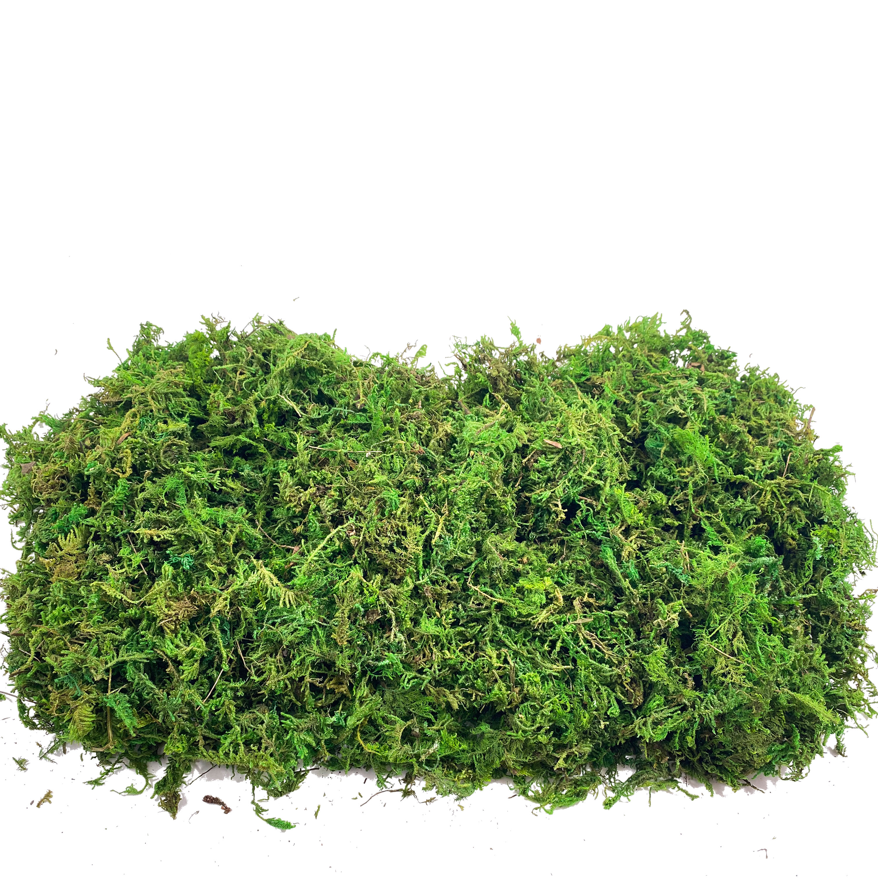 Artificial Fake Moss, Craft Mo - Sphagnum Moss Dry 评论和价格