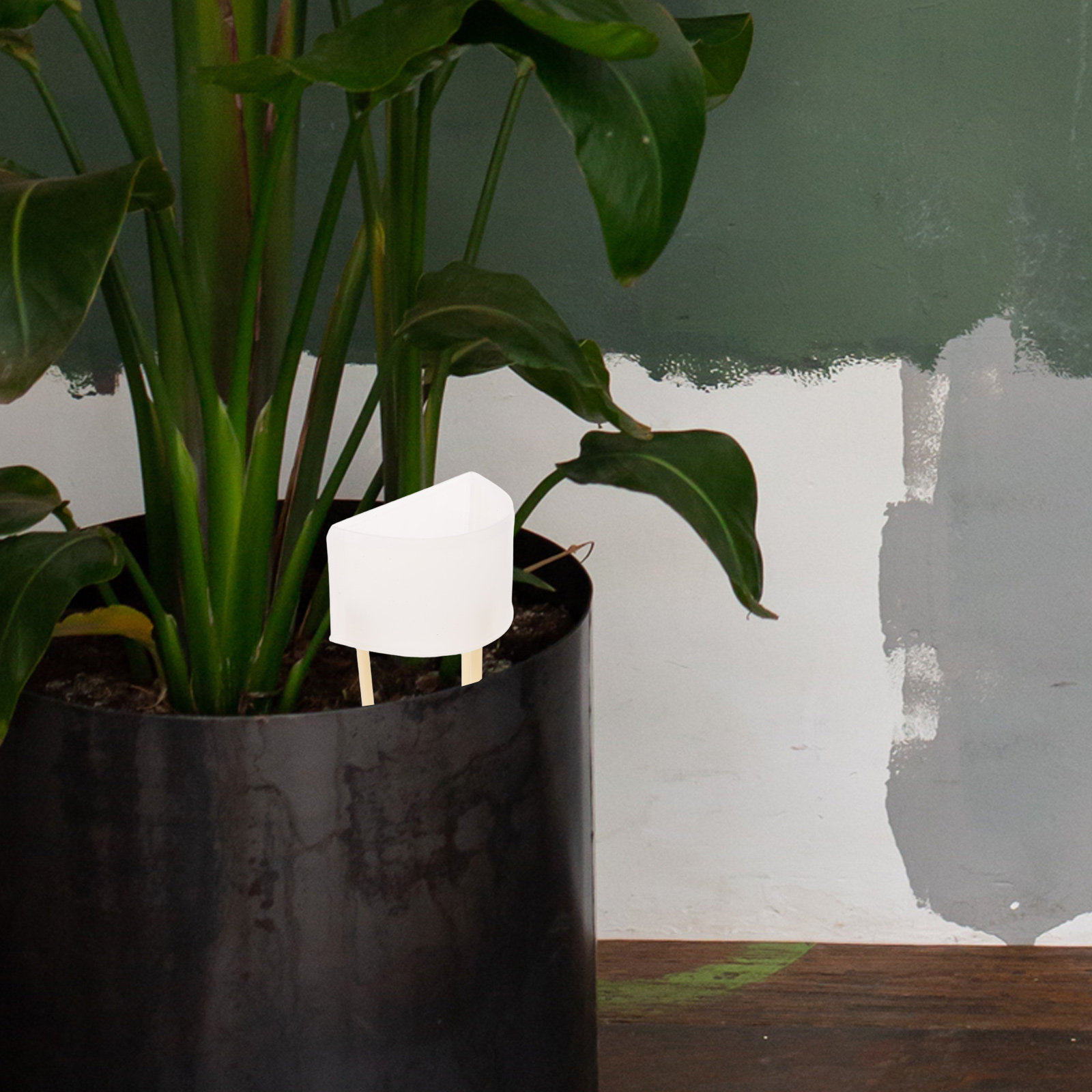 Moss Pole Watering Dripper Adj - Self Watering Insert 评论和价格