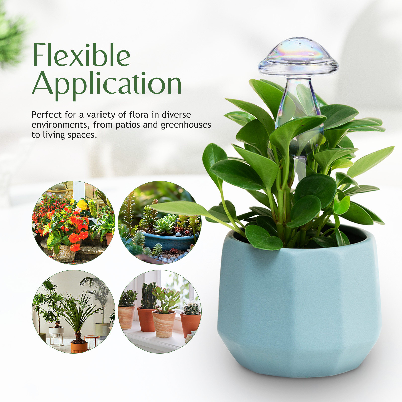 4 Pcs Pot Watering Device Plan - Self Watering Insert 评论和价格