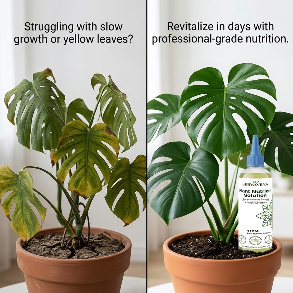Plant  Nutrient Solution Rapid - Root Stimulator Liquid 评论和价格