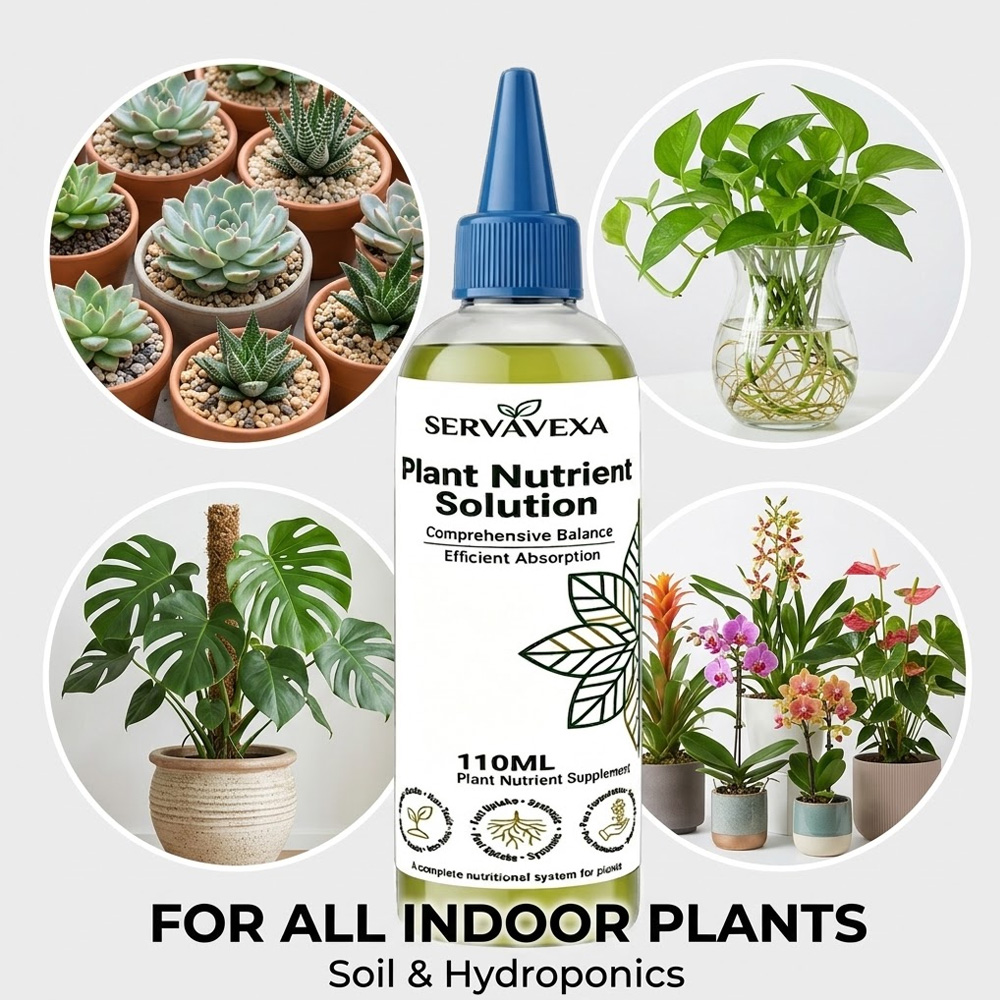 Plant  Nutrient Solution Rapid - Root Stimulator Liquid 评论和价格