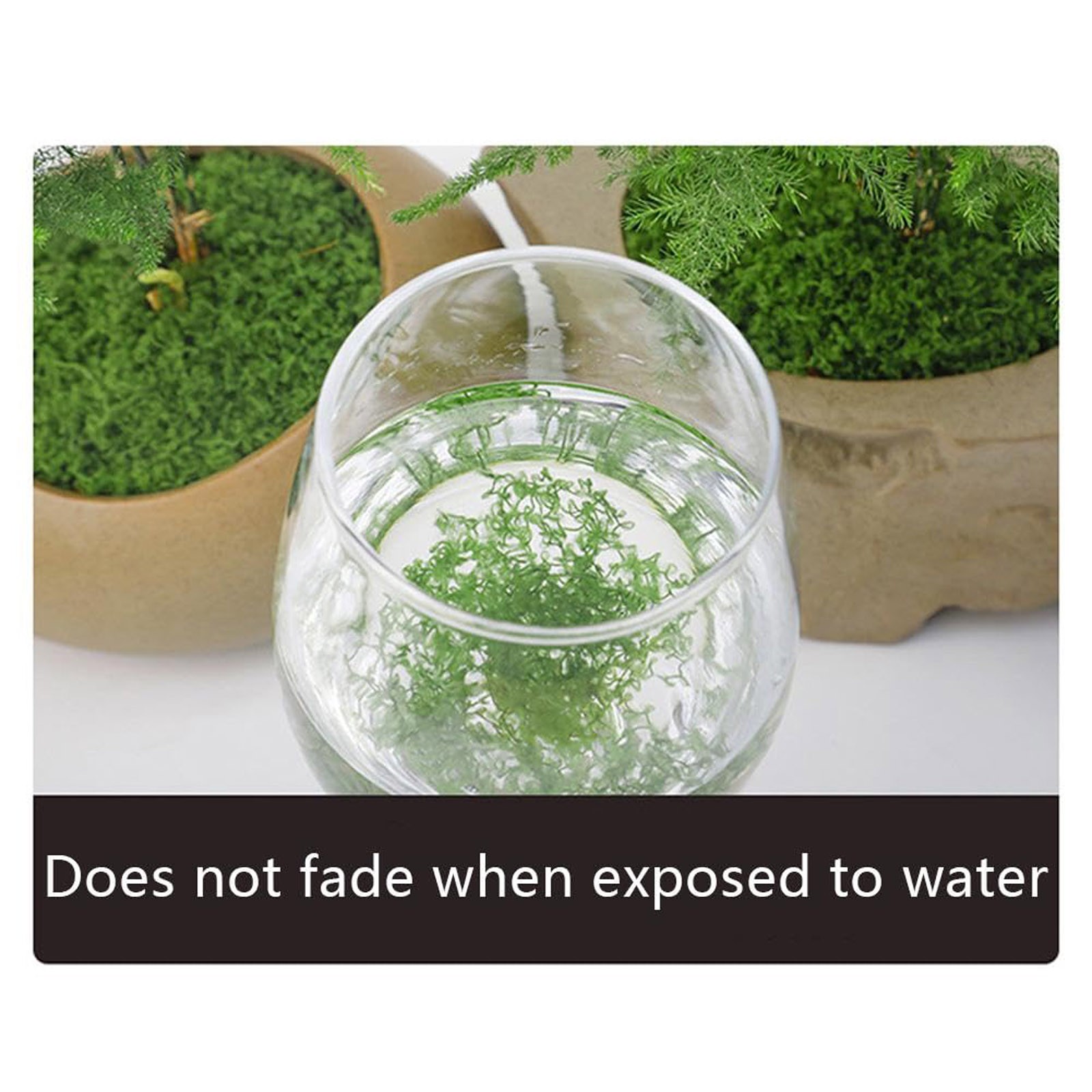 50/200g Artificial Moss For De - Sphagnum Moss Dry 评论和价格