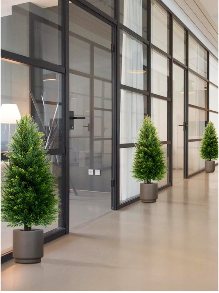 Simulation Pine And Cypress Po - Sphagnum Moss Dry 评论和价格