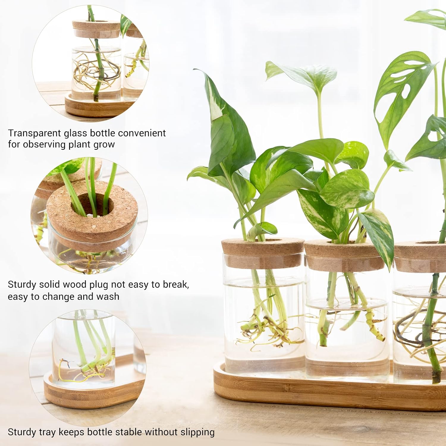 3 Pcs Glass Plant Propagation  - Propagation Station Vase 评论和价格