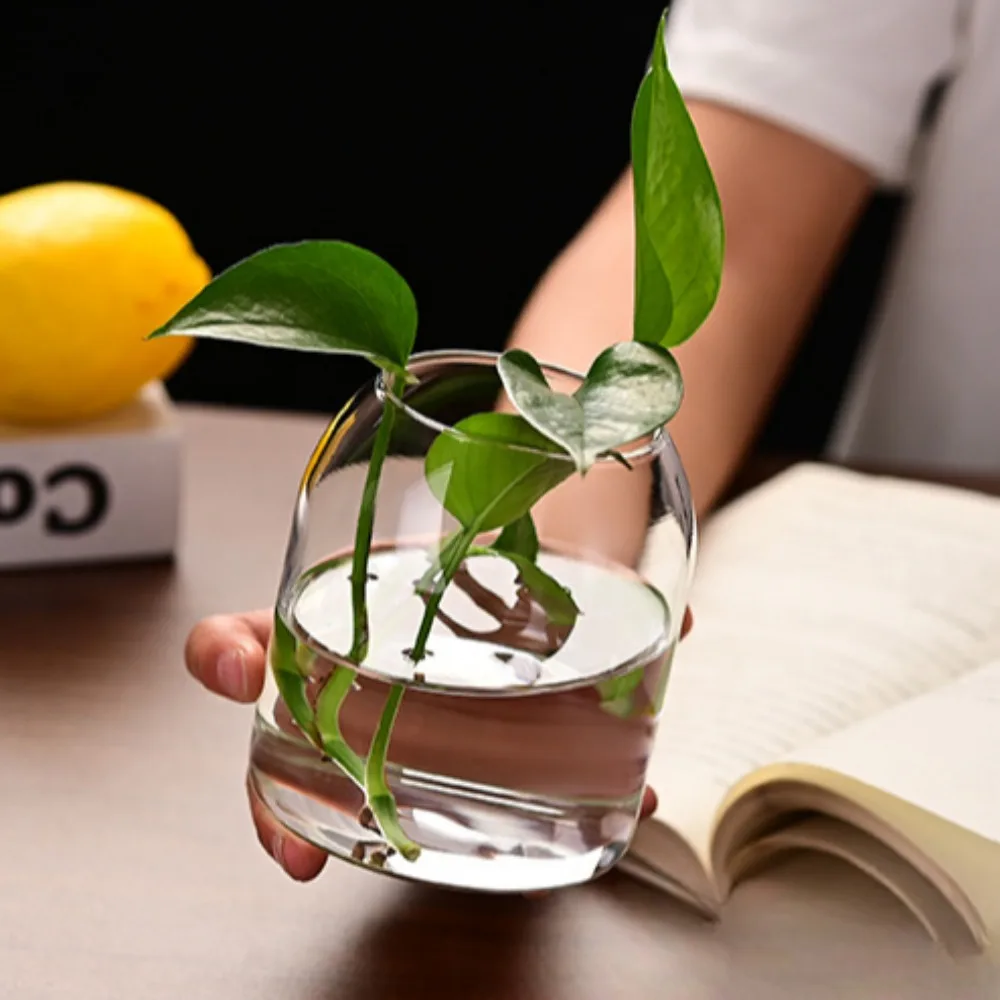 Creative Hydroponic Plant Glas - Propagation Station Vase 评论和价格