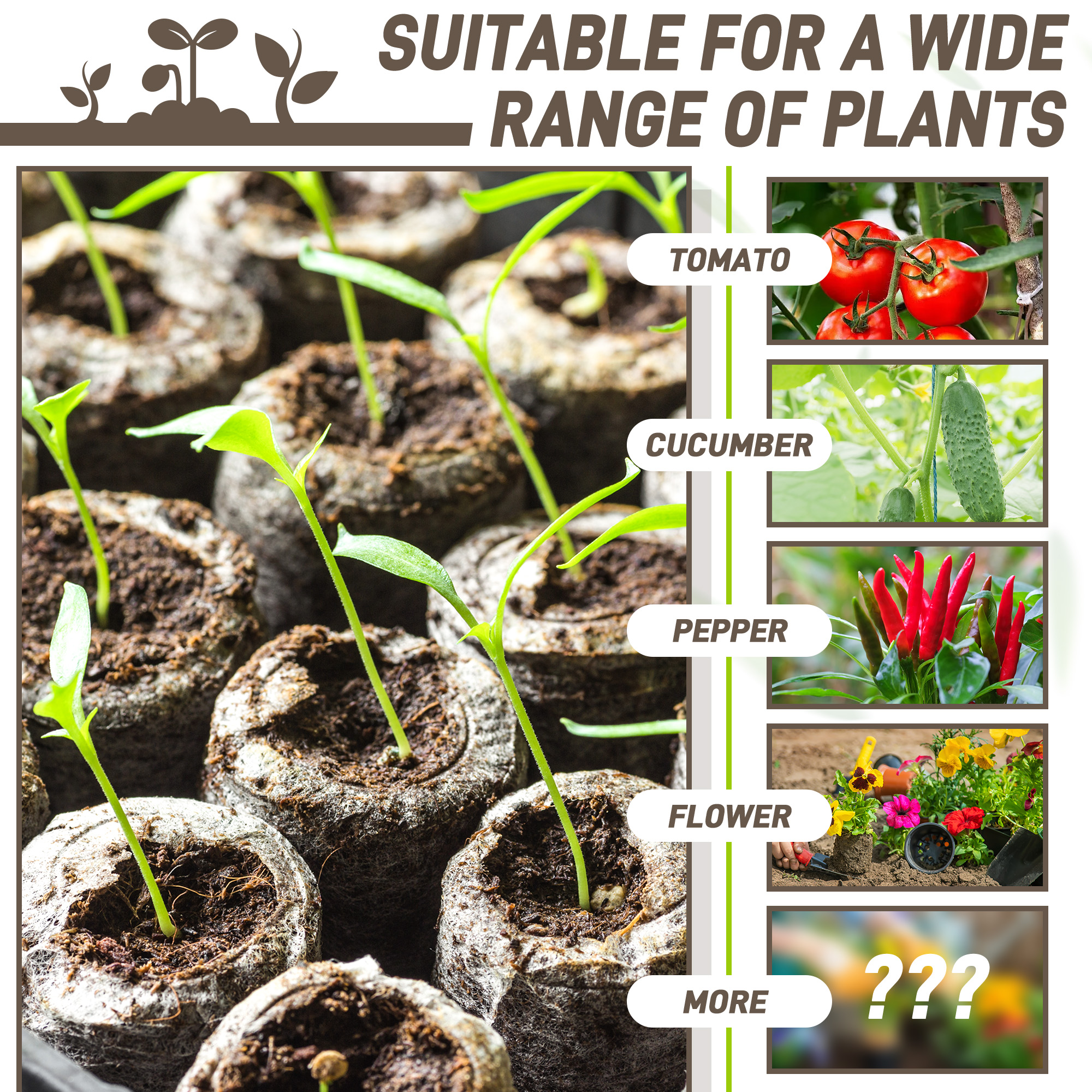 50pcs 35mm Compressed Peat Pel - Peat Pellet Tray 评论和价格