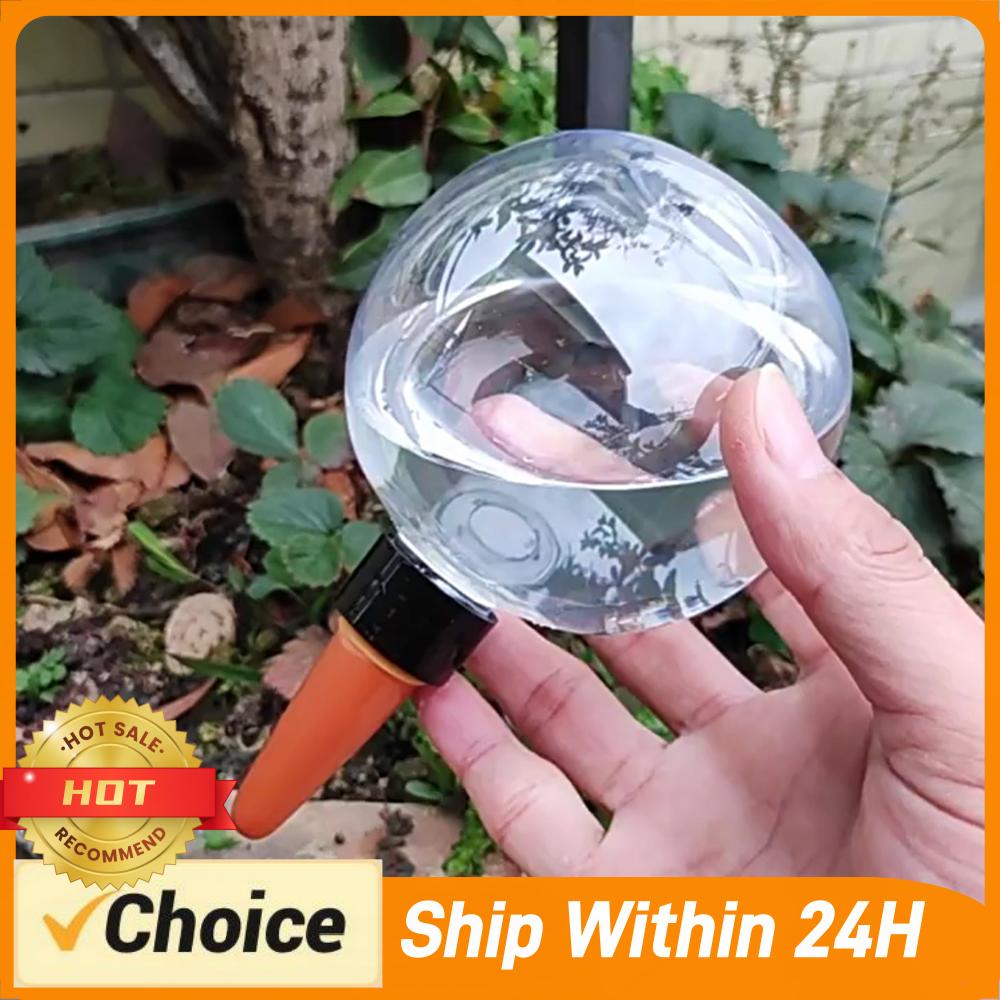 500ML Automatic Plant Waterer  - Self Watering Insert 评论和价格
