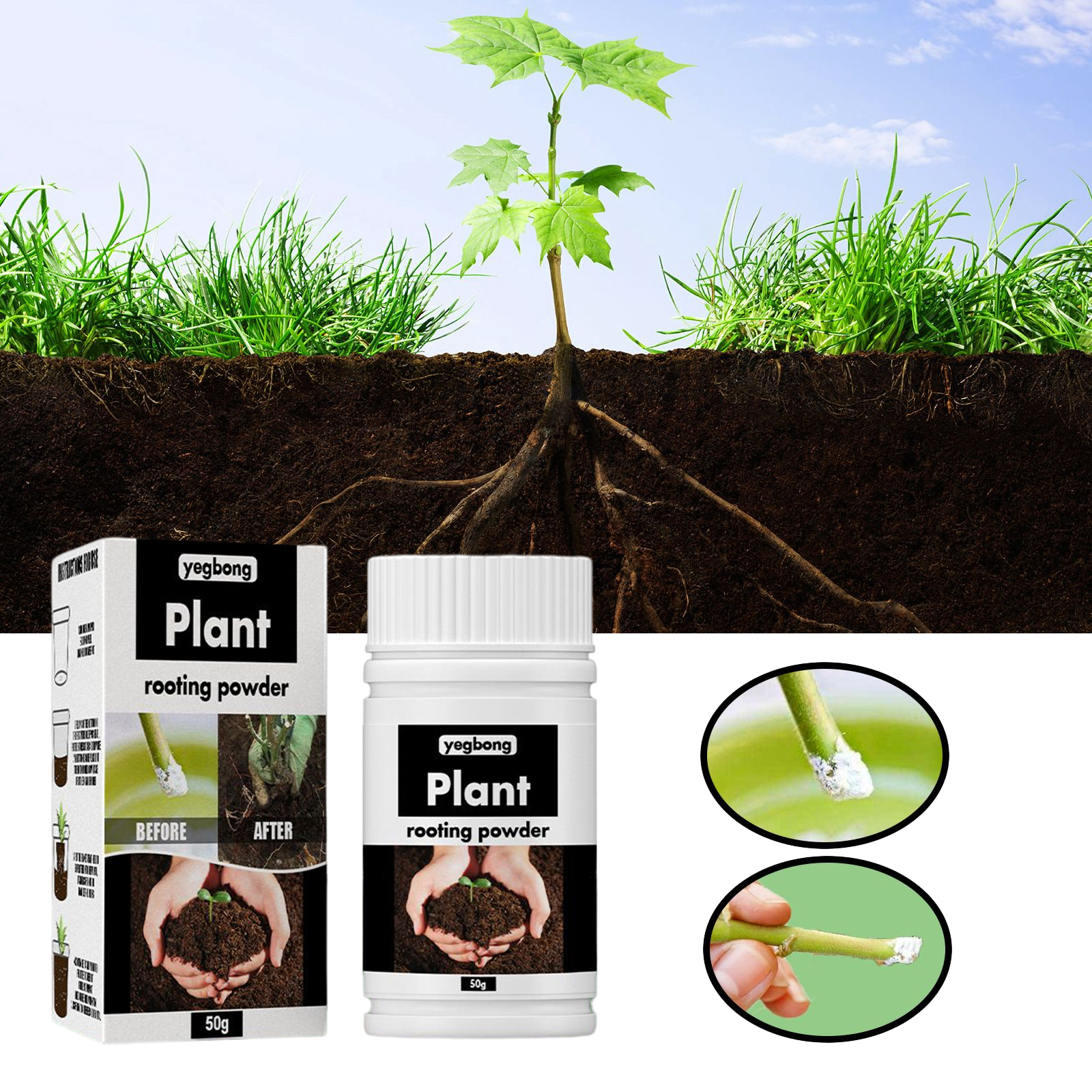 1Rare Plant Rooting Powder Pla - Rooting Hormone Powder 评论和价格