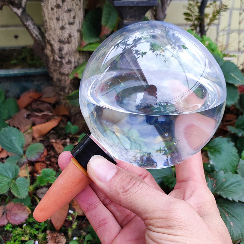 2PCS/4PCS Spherical Automatic  - Self Watering Insert 评论和价格