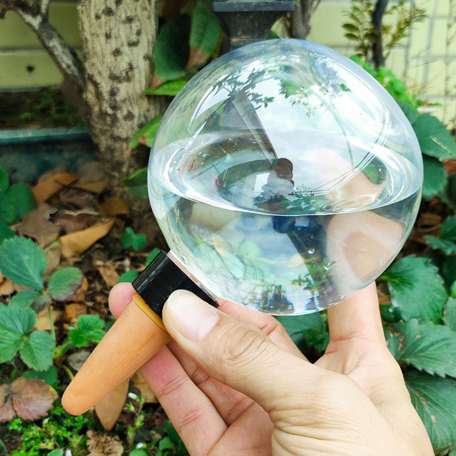 500ML Automatic Plant Watering - Self Watering Insert 评论和价格