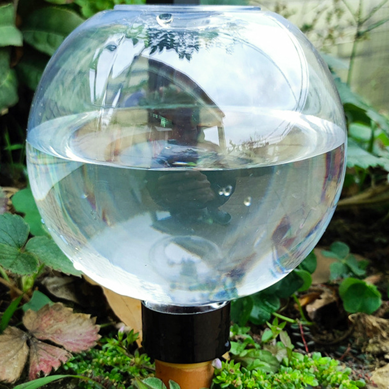 500ML Automatic Plant Watering - Self Watering Insert 评论和价格