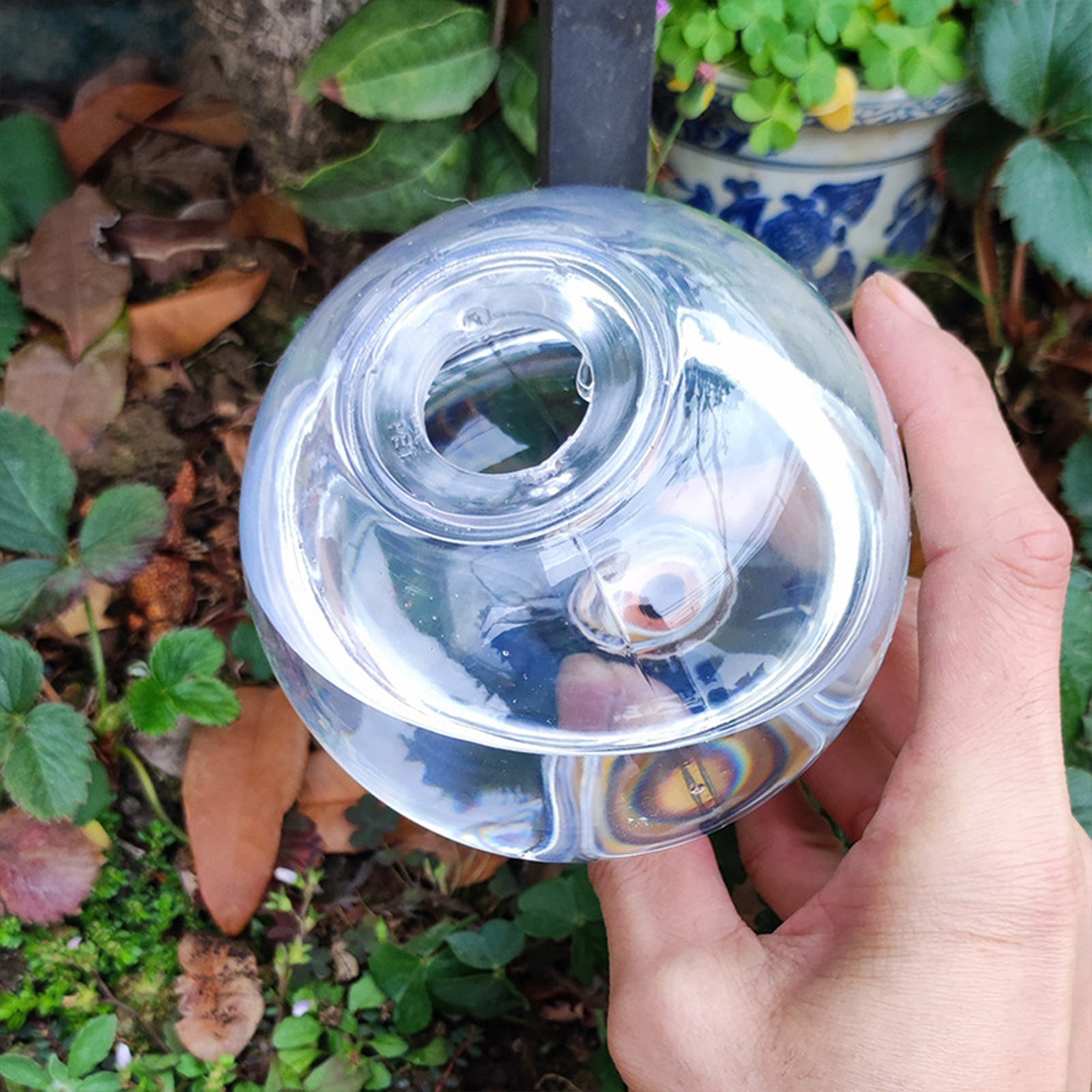 500ML Automatic Plant Watering - Self Watering Insert 评论和价格