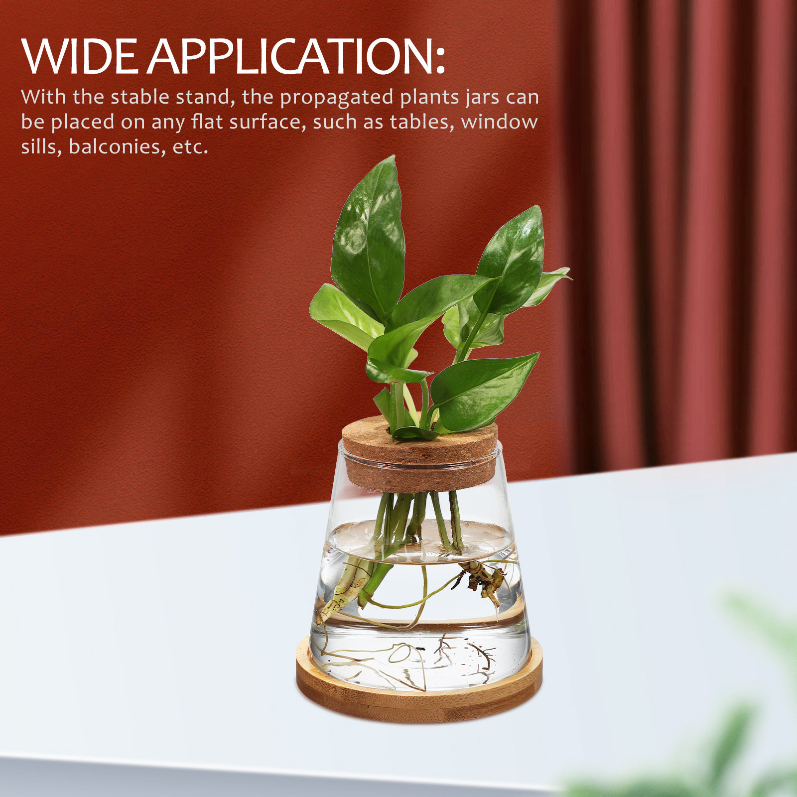 2Pcs Hydroponic Plants Propaga - Propagation Station Vase 评论和价格