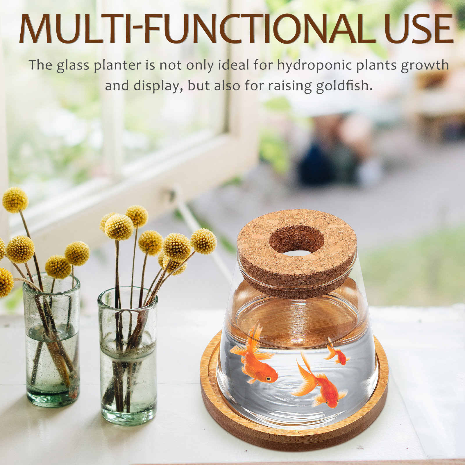 2Pcs Hydroponic Plants Propaga - Propagation Station Vase 评论和价格
