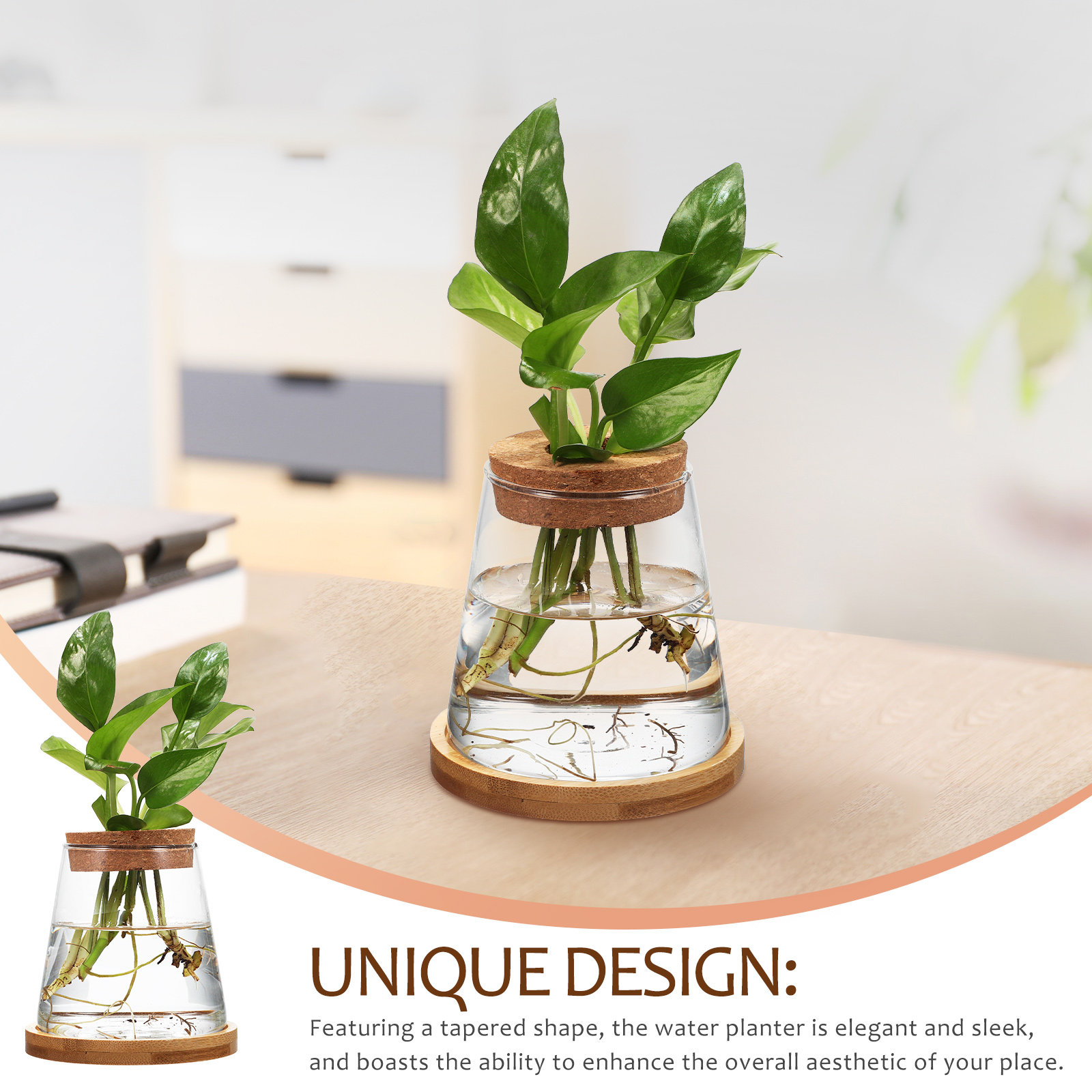 2Pcs Hydroponic Plants Propaga - Propagation Station Vase 评论和价格