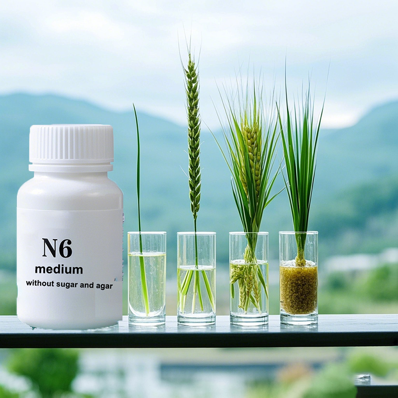 N6 Medium Wtihout Sugar Or Aga - Agar Tissue Culture 评论和价格