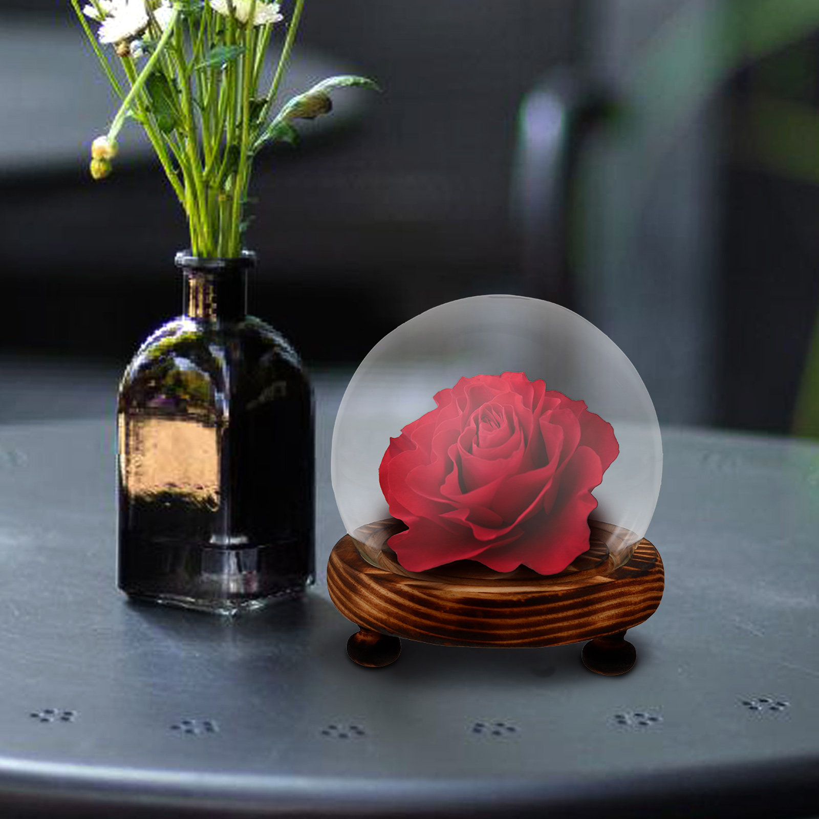 Glass Dome Display Case with W - Plastic Dome Clear 评论和价格
