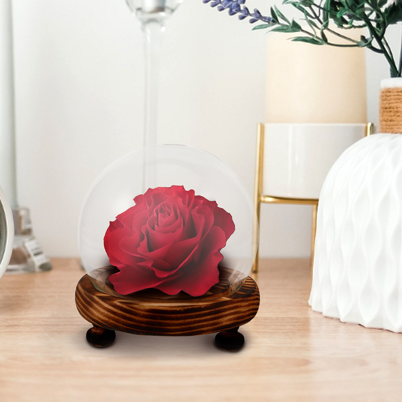Glass Dome Display Case with W - Plastic Dome Clear 评论和价格