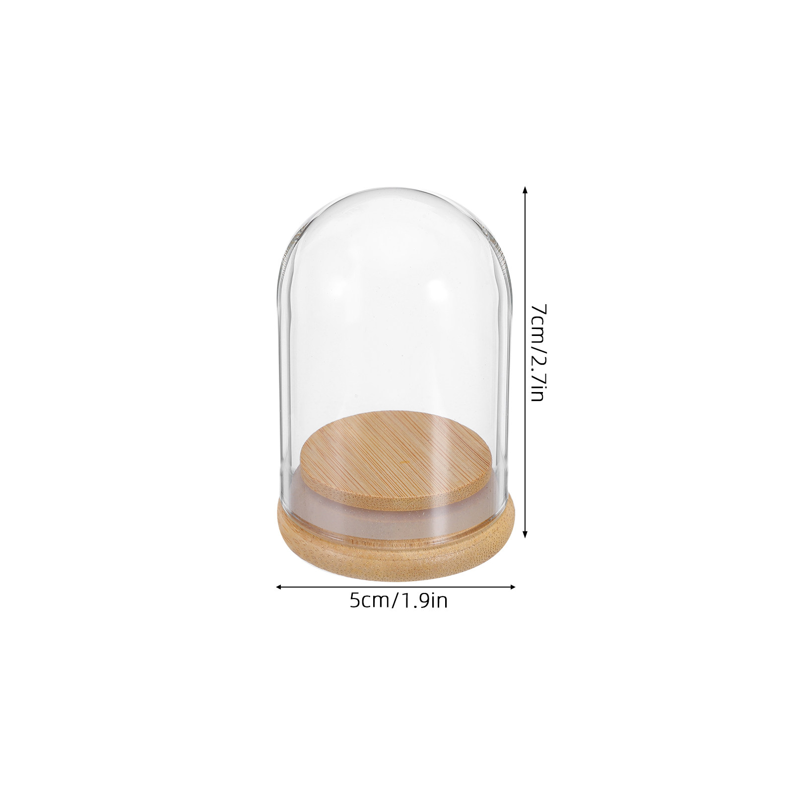 6Pcs Clear Glass Cloche Dome D - Plastic Dome Clear 评论和价格