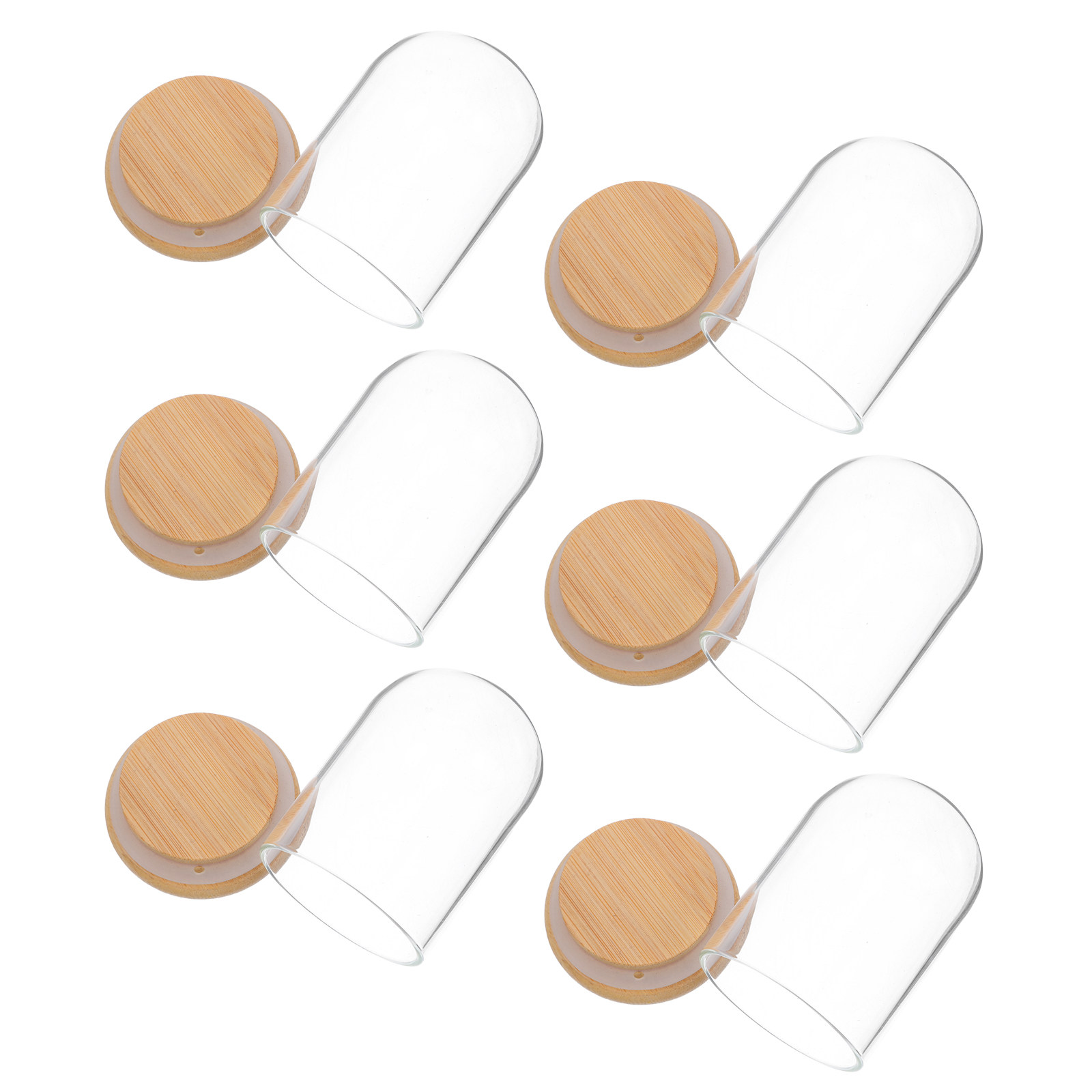 6Pcs Clear Glass Cloche Dome D - Plastic Dome Clear 评论和价格