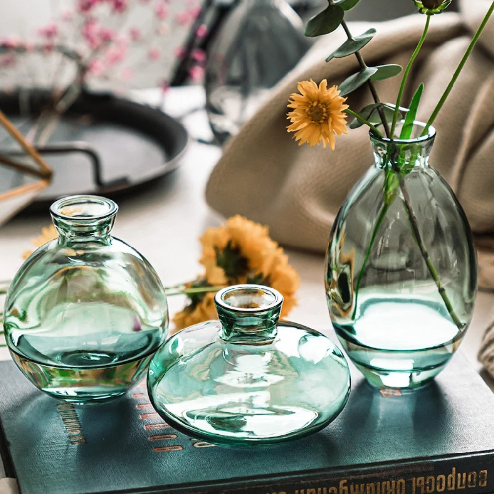 Nordic Transparent Glass Vase  - Propagation Station Vase 评论和价格