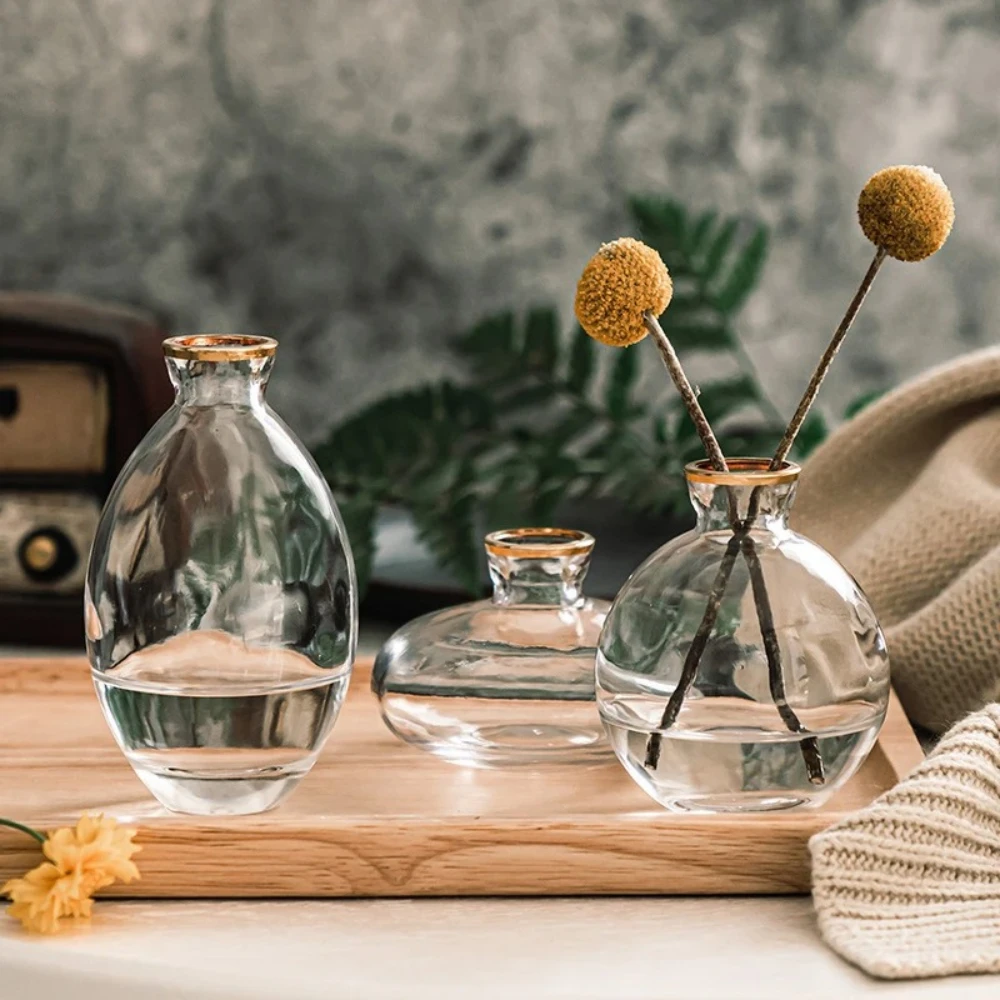 Nordic Transparent Glass Vase  - Propagation Station Vase 评论和价格