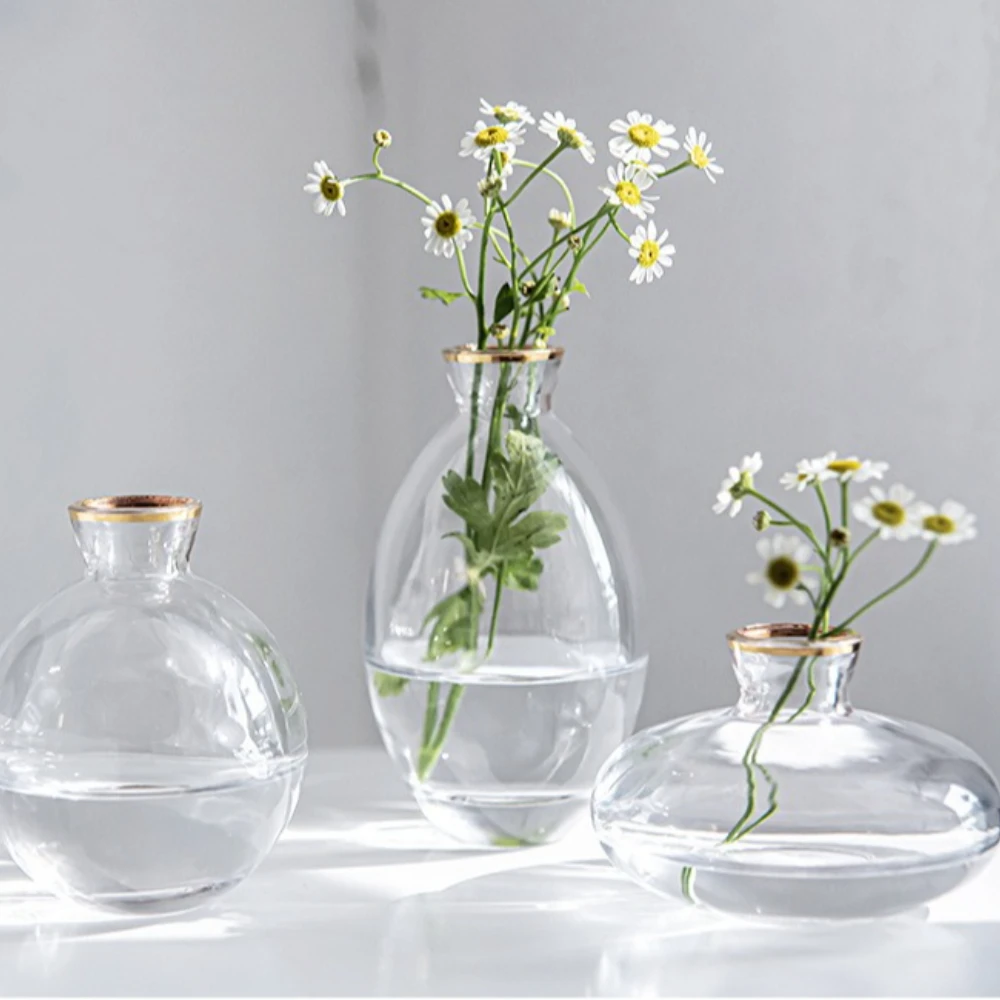 Nordic Transparent Glass Vase  - Propagation Station Vase 评论和价格