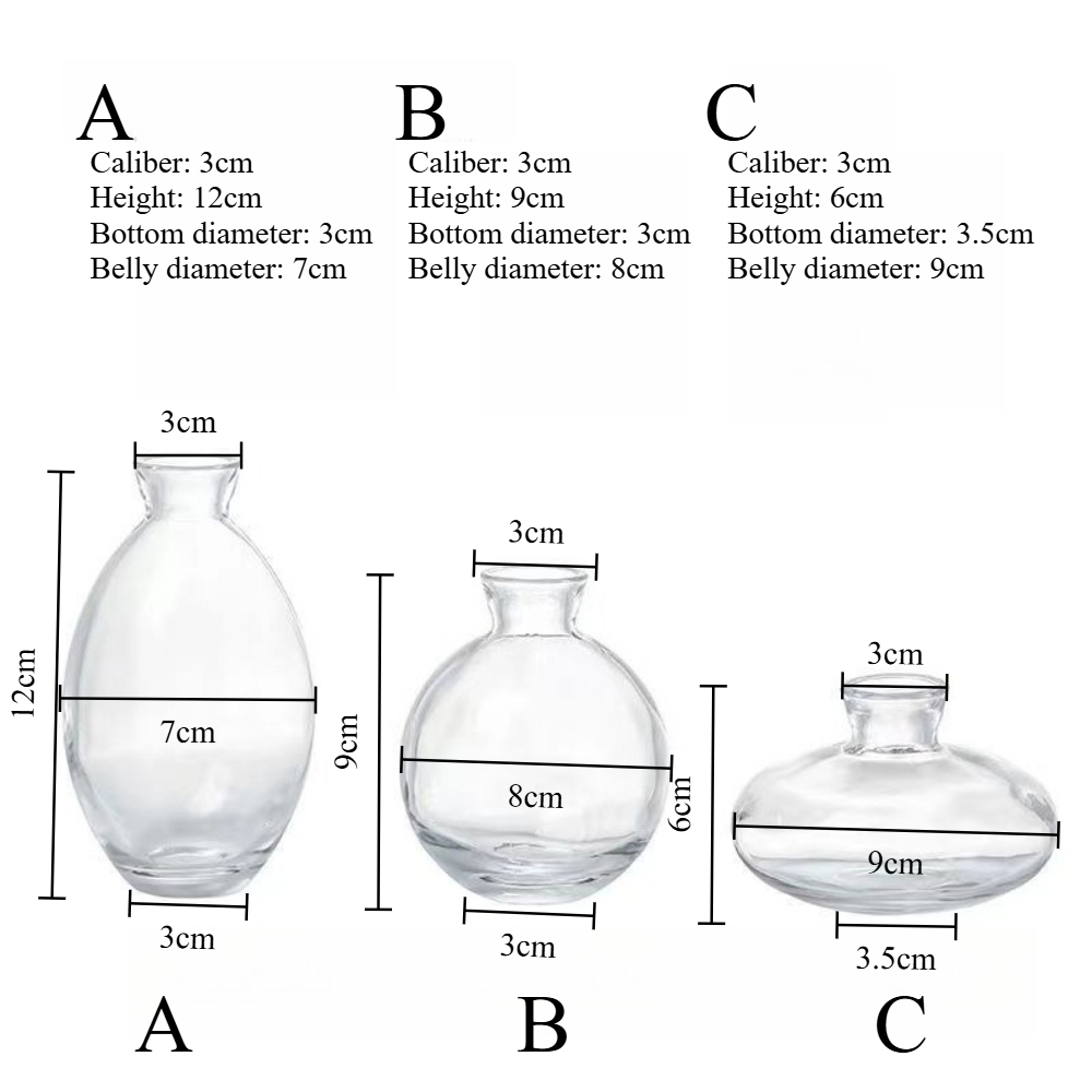Nordic Transparent Glass Vase  - Propagation Station Vase 评论和价格
