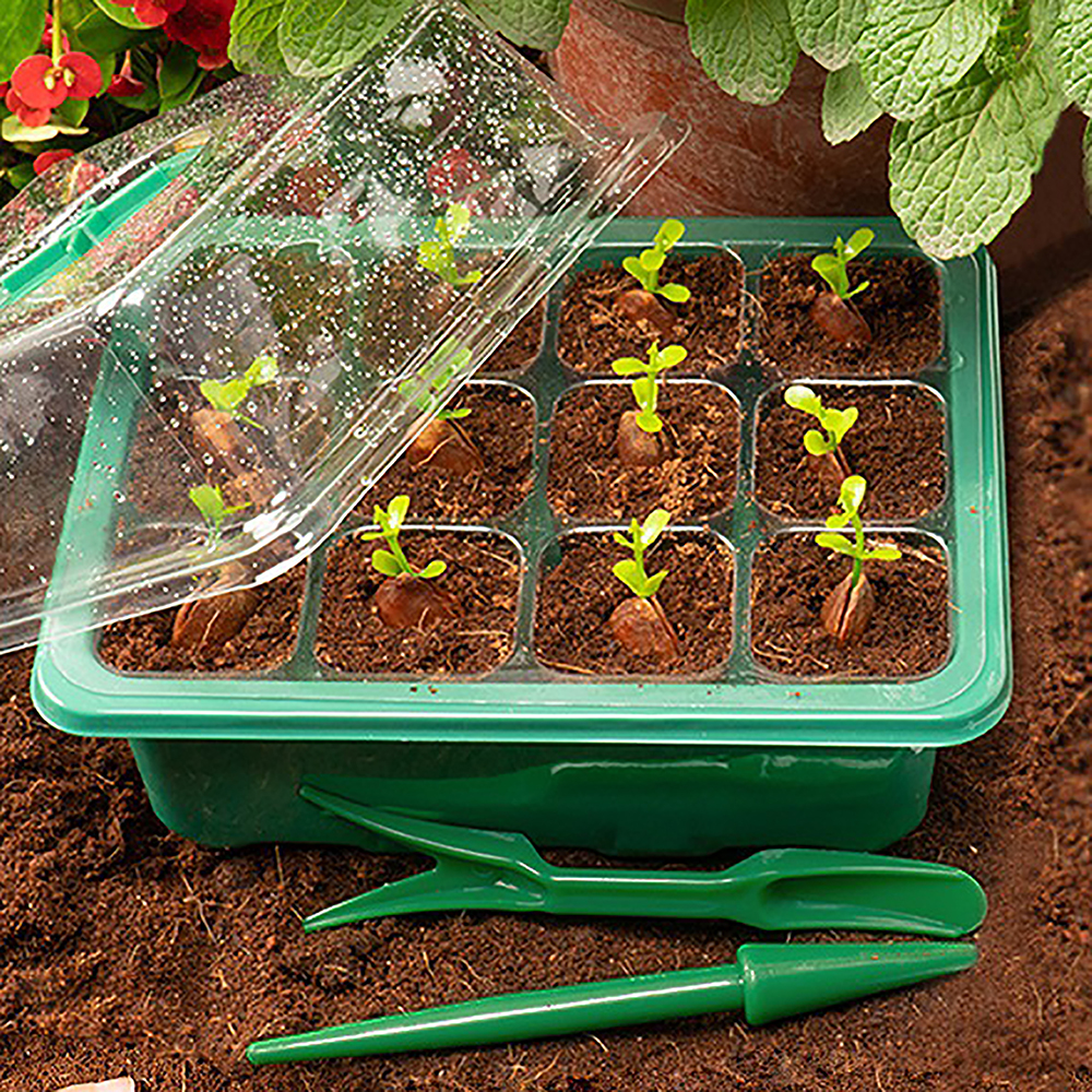 Seed Starter Trays with Grow L - Humidity Dome Kit 评论和价格