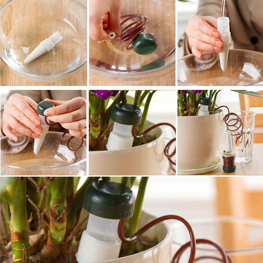 8-24Pcs Self-Watering Probes A - Self Watering Insert 评论和价格