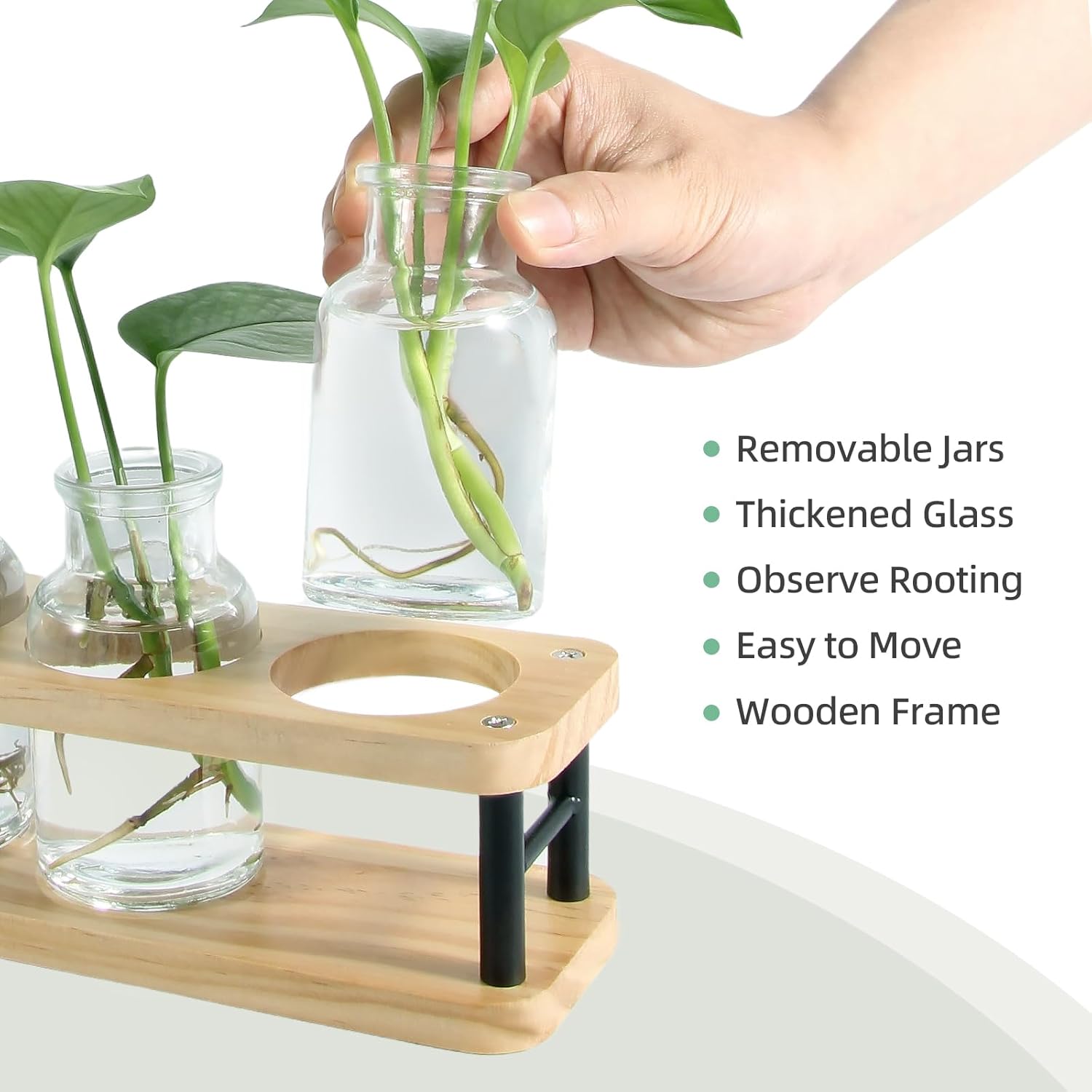 Propagation Station with Woode - Propagation Station Vase 评论和价格