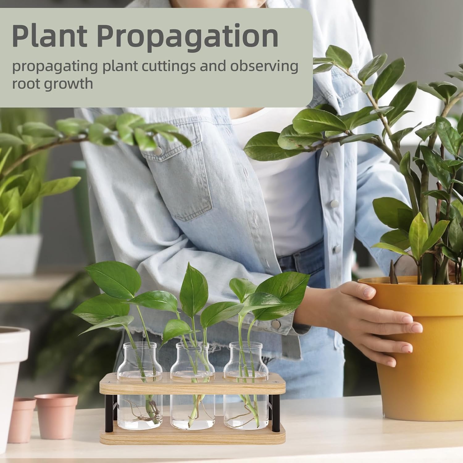 Propagation Station with Woode - Propagation Station Vase 评论和价格