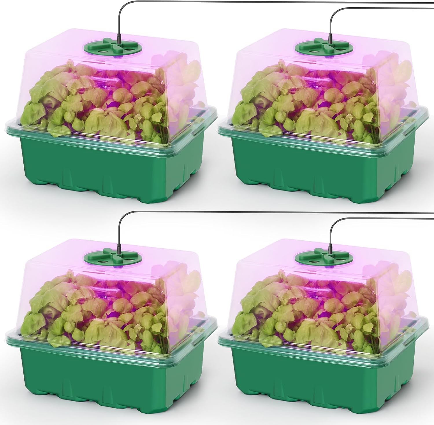 Seed Starter Kit with Grow Lig - Humidity Dome Kit 评论和价格