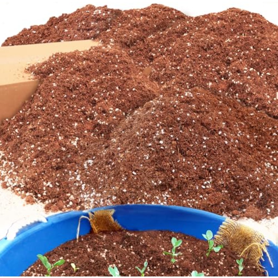 2 Mix for Indoor Plants - Cont - Coco Perlite Mix 评论和价格
