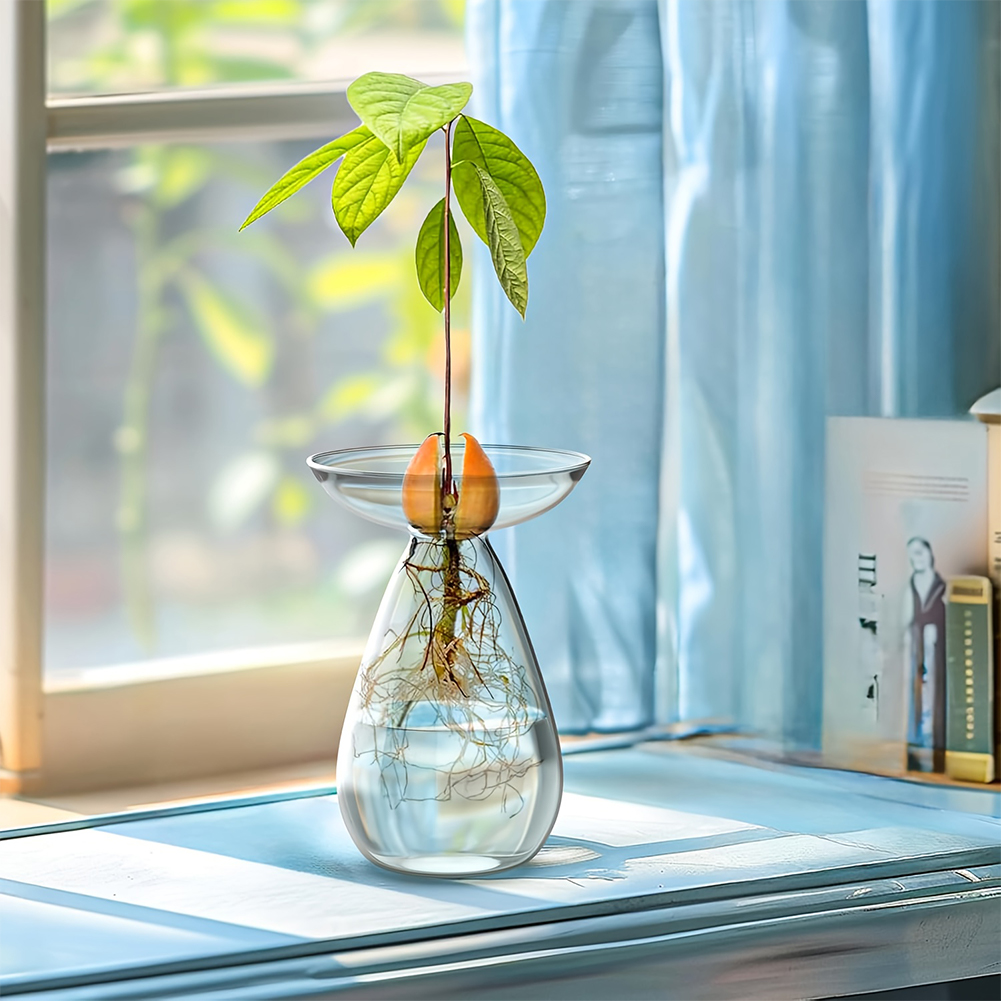Avocado Seed Starter Vase Tran - Propagation Station Vase 评论和价格