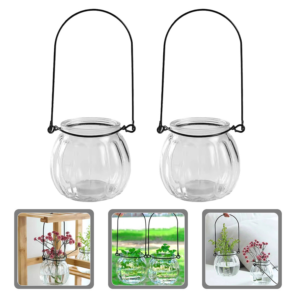 6Pcs Clear Glass Wall Planters - Propagation Station Vase 评论和价格