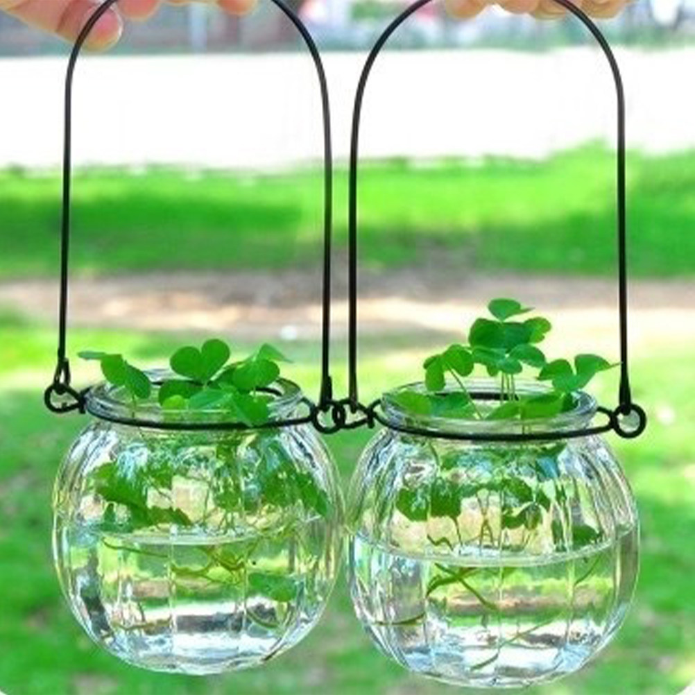 6Pcs Clear Glass Wall Planters - Propagation Station Vase 评论和价格