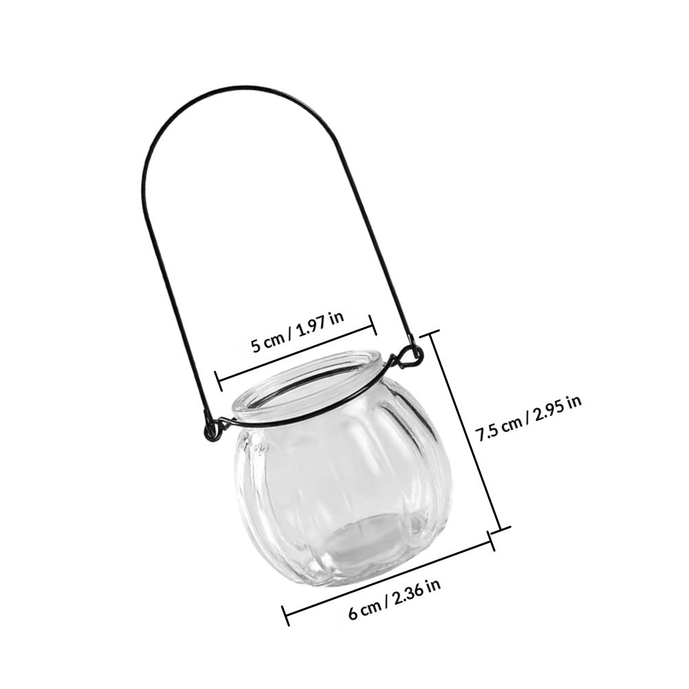 6Pcs Clear Glass Wall Planters - Propagation Station Vase 评论和价格