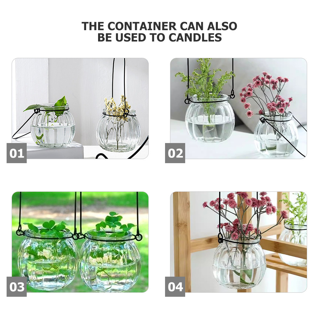 6Pcs Clear Glass Wall Planters - Propagation Station Vase 评论和价格