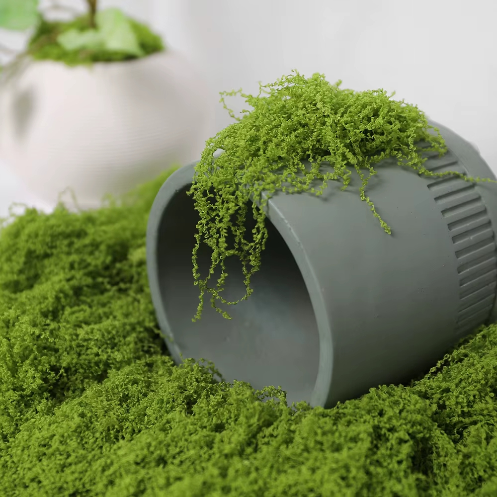 30/100g Artificial Green Plant - Sphagnum Moss Dry 评论和价格