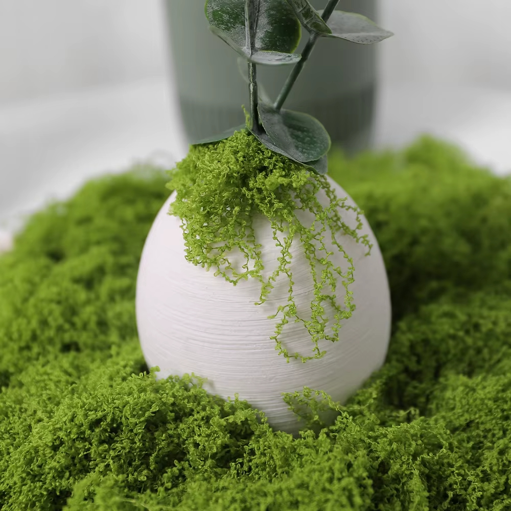 30/100g Artificial Green Plant - Sphagnum Moss Dry 评论和价格