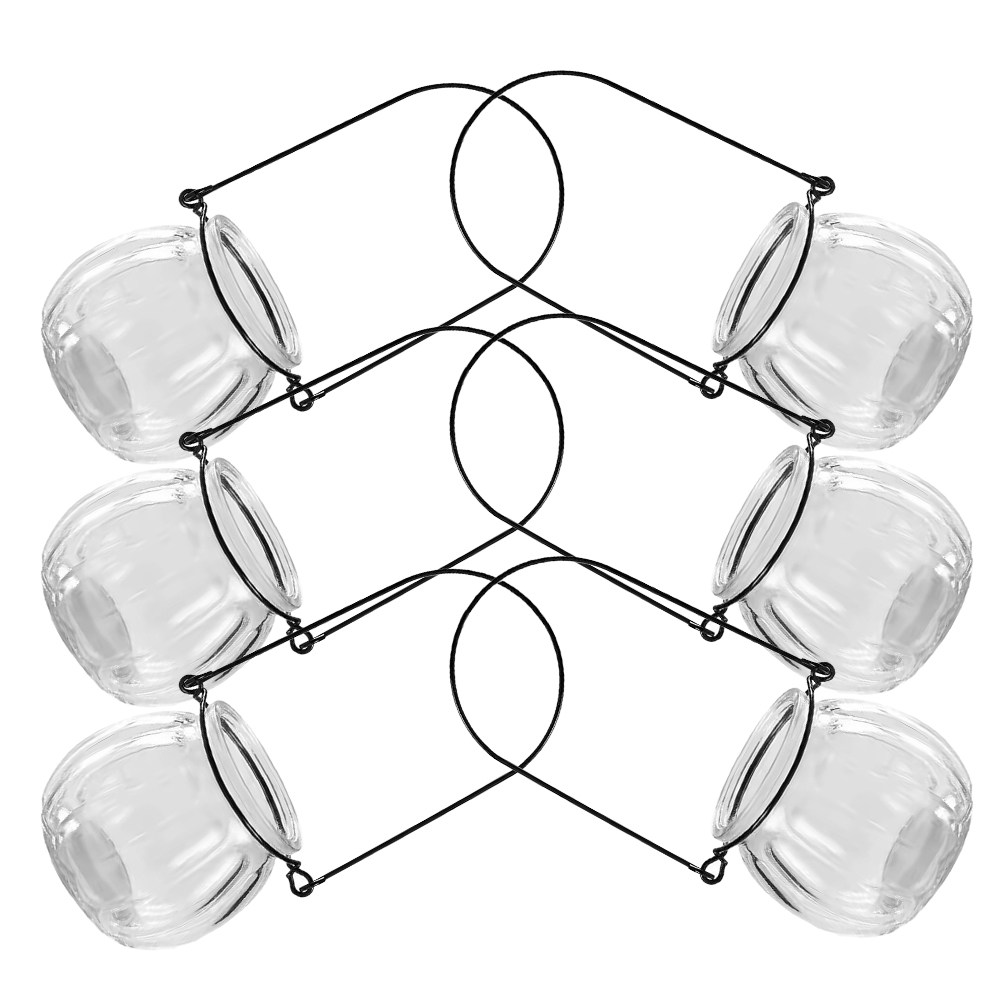 6Pcs Clear Glass Hanging Wall  - Propagation Station Vase 评论和价格